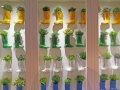 google_house_zuerich (1)